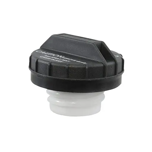 درب باک داخلی ریو اصلی